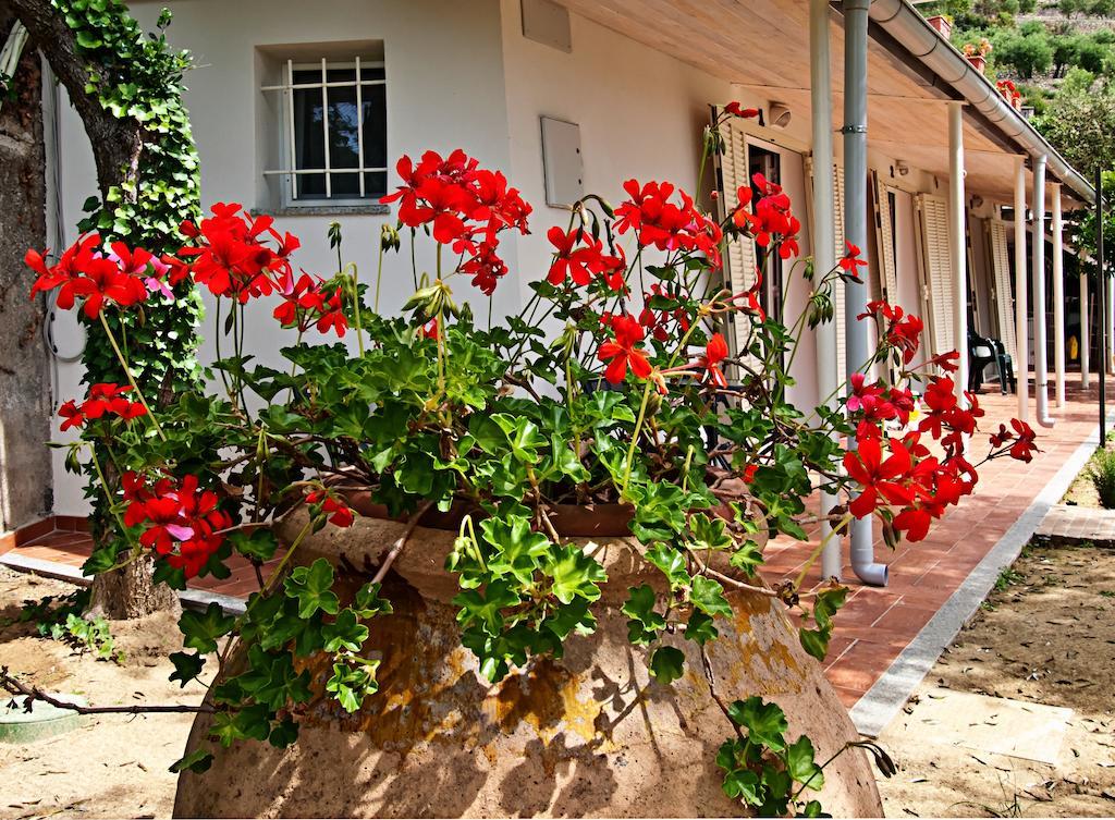 Tra Gli Ulivi Bed & Breakfast Pietra Ligure Exterior photo